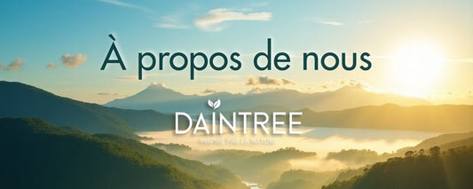 L'univers Daintree - A Propos de nous